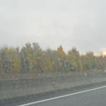 DSCN2378
