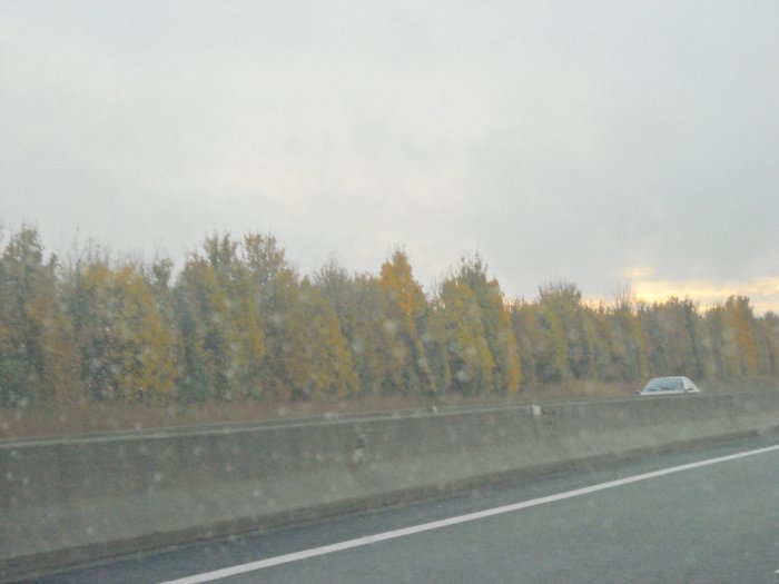 DSCN2378
