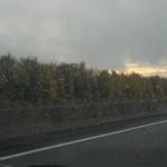 DSCN2379