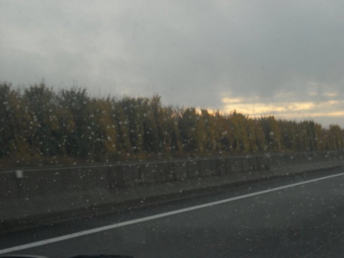 DSCN2379