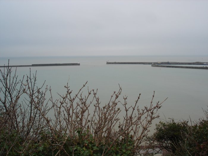 DSC04966
