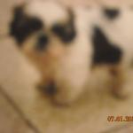 DSCN0914
