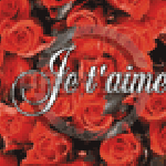 ROSESROUGES_KM_C112.GIF_PREVIEW_WEB[1]