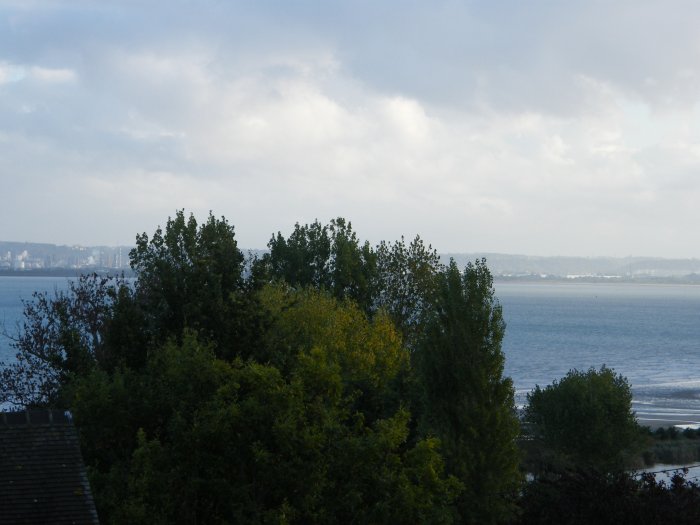 DSCF4771