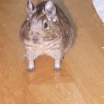 DSCF7066