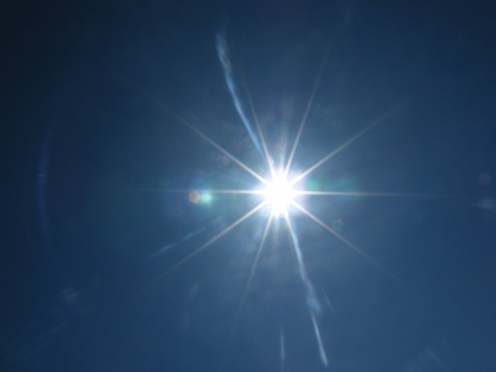 DSCF9779