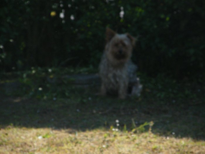 DSCF9813