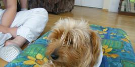 Roxane