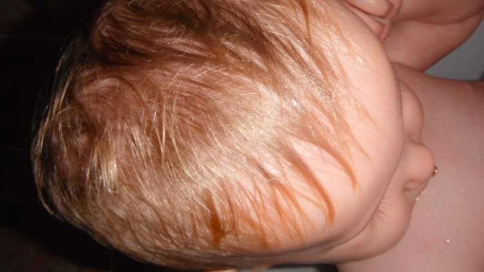 DSCF0661