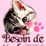 Chat_tendresse_