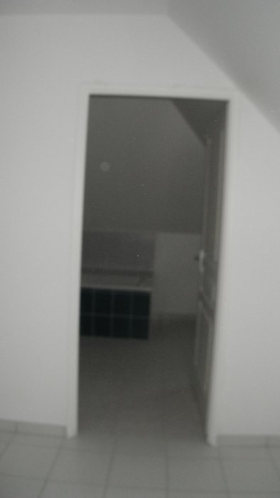 DSCF1353