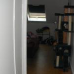 DSCF2563