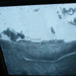 DSCF7018