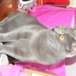 DSCF7035