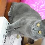 DSCF7037