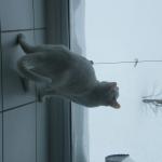 DSCF7052