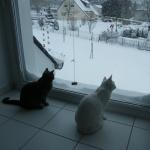 DSCF7057