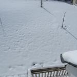 DSCF7097