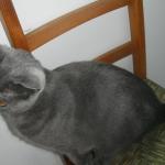DSCF7510