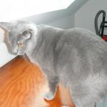 DSCF7518