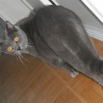 DSCF7526