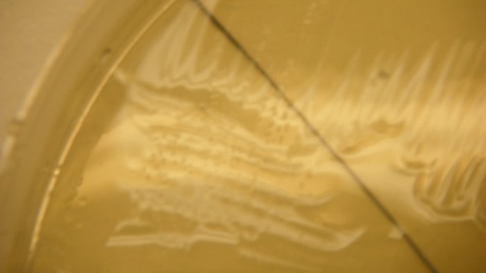DSCF4005