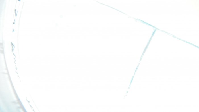 DSCF4014