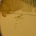 DSCF4025