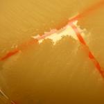 DSCF4027