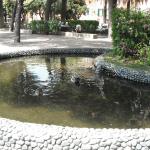 DSCF7653