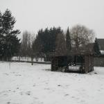 DSCF1420