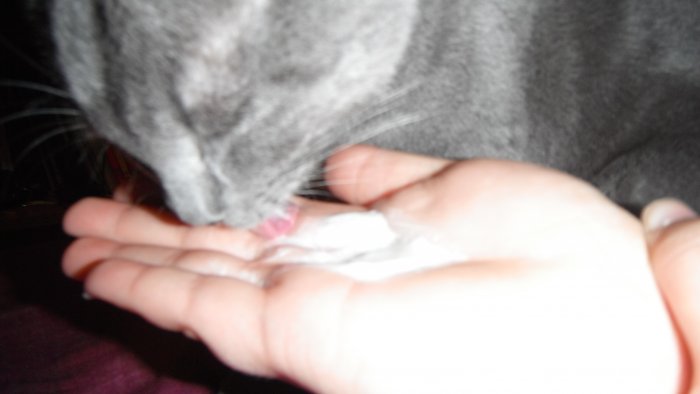 DSCF2272