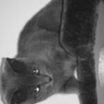 DSCF2292