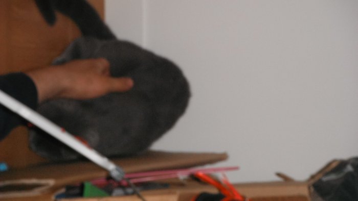DSCF2364