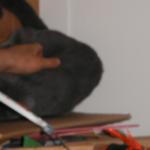 DSCF2364