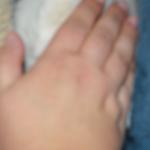 DSCF6657
