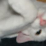 DSCF6659