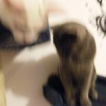 DSCF6698