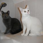 DSCF6879