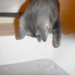 DSCF6891