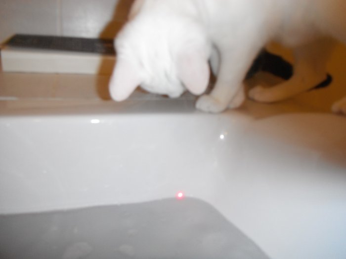 DSCF6892