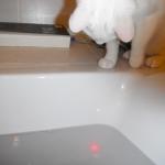 DSCF6893