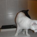 DSCF6896