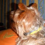 DSCF2075