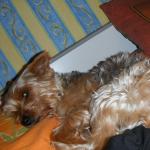 DSCF2077