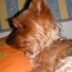 DSCF2080