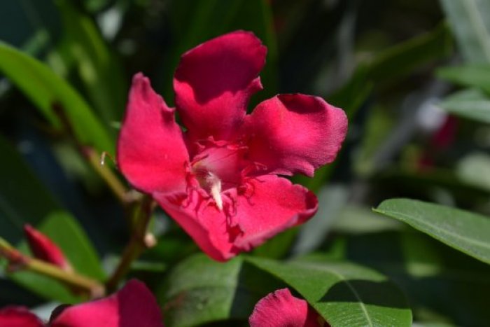 DSC_0547_555