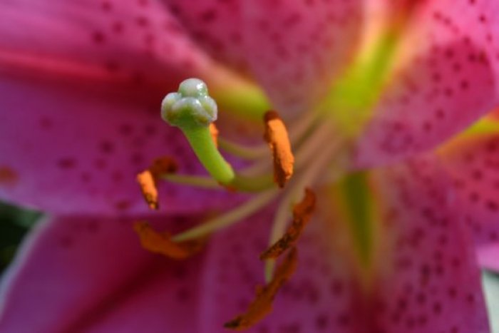 DSC_0554_555