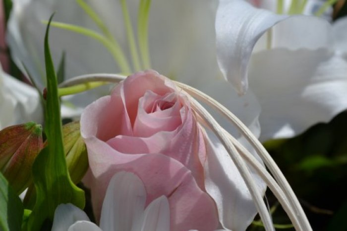 DSC_0567_555