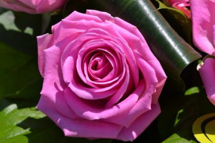 DSC_0570_555